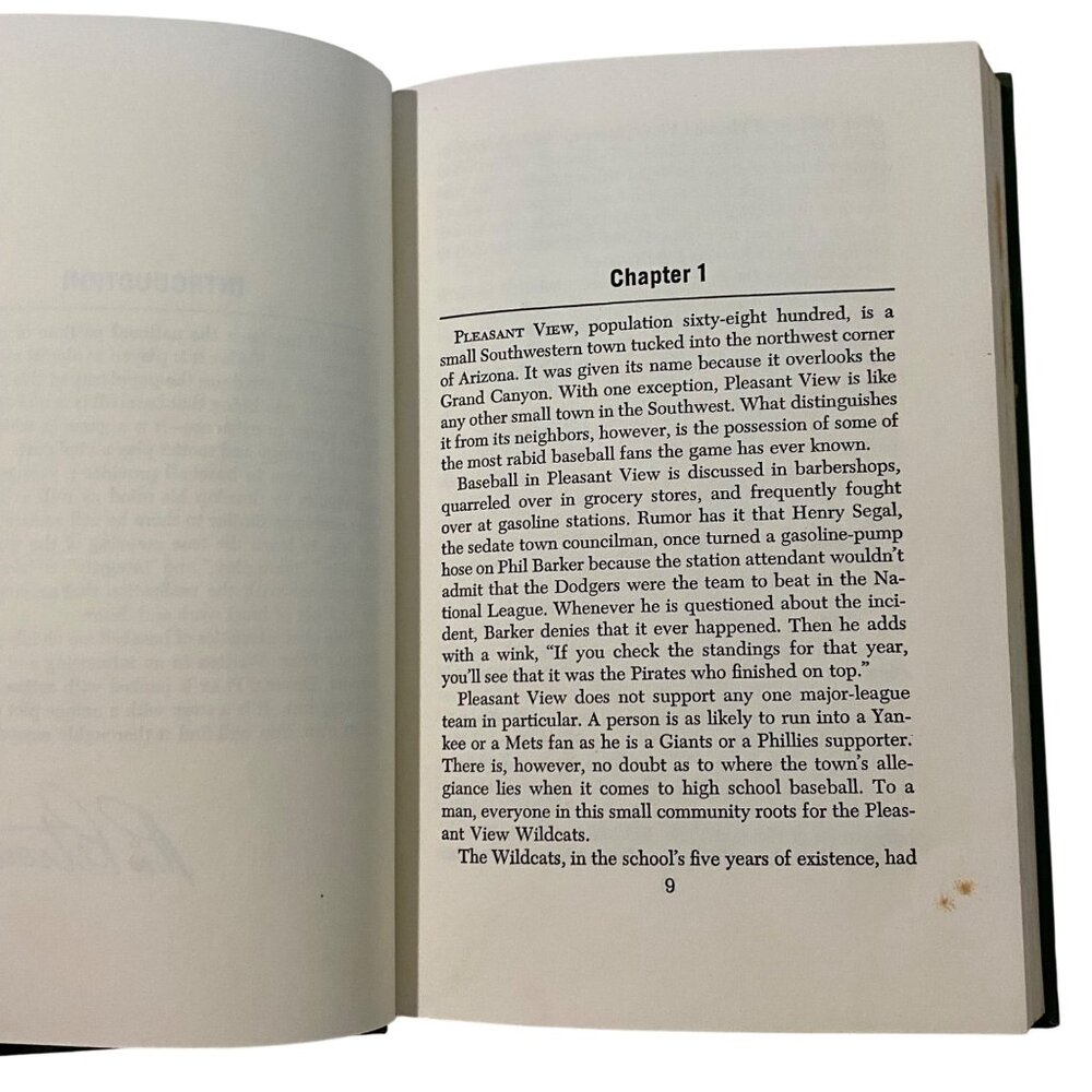 Double Play Hardcover Book Stephen R Lewinstein Baseball Sports Boys Young Adult - Picture 7 of 9